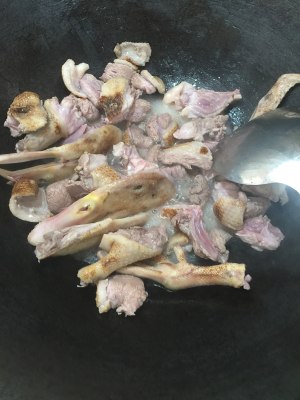 The practice measure of duck of young ginger beer 6