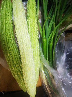 The practice measure that balsam pear burns edition of duck rare any of several hot spice plants 1