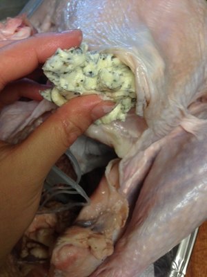 Chicken of thanksgiving nurse a fire (turkey wants how ability is not insipid) practice measure 8