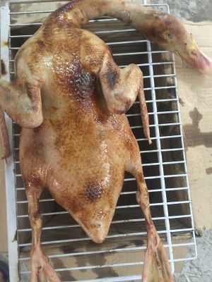 The practice measure of duck of young ginger beer 2
