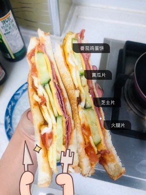 The practice measure of sandwich of healthy tomato incubation 9