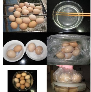The practice measure of the souse of egg of salty chicken, duck, goose 11