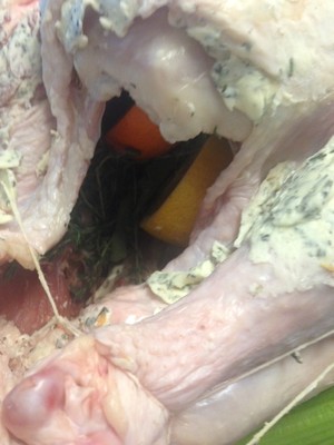 Chicken of thanksgiving nurse a fire (turkey wants how ability is not insipid) practice measure 14