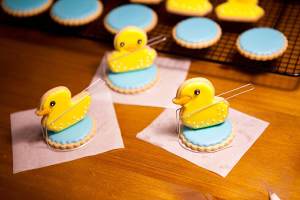 Stereo duckling the practice measure of candy frost biscuit 42