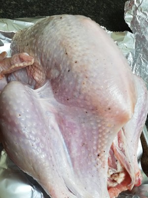 The practice measure of chicken of nurse a fire of festal big vegetable 1