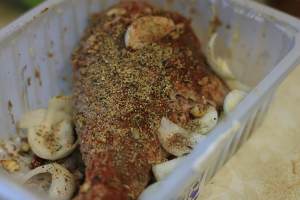 The giant of garlic flavour! The practice measure of the igneous drumstick of advance on 4