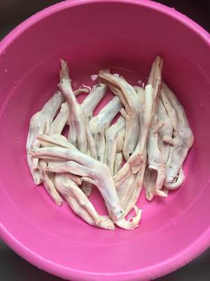 The practice measure of claw of duck of wing of duck of ～ of ～ of ～ of week coot flavour 1