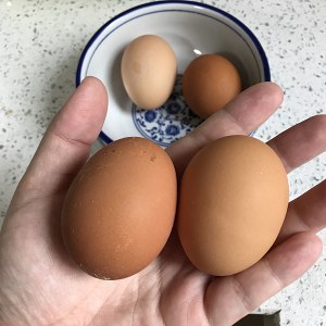 Tomato scrambles egg the practice measure of quick worker of the daily life of a family 1