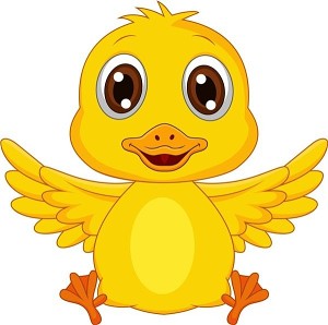 The practice measure of delicious duck 4
