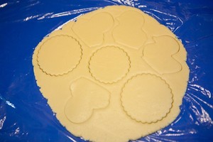 Stereo duckling the practice measure of candy frost biscuit 11