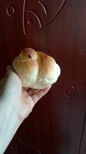 The practice measure of old biscuit of small yellow duckling 15