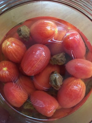 Appetizing bit -- the practice measure of word plum small tomato 7