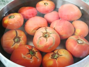 Ancient magic art stores the practice step that tomato ～ Xia Caidong takes 3