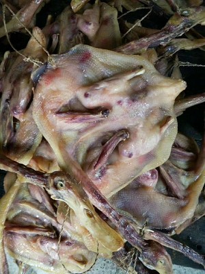 The practice measure of duck of lees dried meat 1
