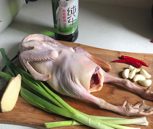 Beer duck, your dish! practice measure 1