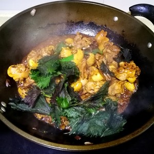 The practice measure of duck of stew of Chi of purple perilla beans 5