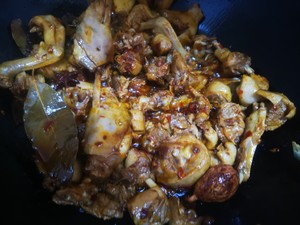 The practice measure that balsam pear burns edition of duck rare any of several hot spice plants 9