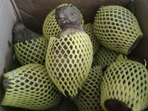 Delicate the practice measure of duck of evaporate of sweet taro pink 2