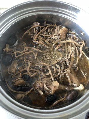 The practice measure of soup of the duck of tea tree stay of proceedings that stew 6