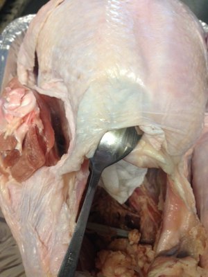 Chicken of thanksgiving nurse a fire (turkey wants how ability is not insipid) practice measure 6