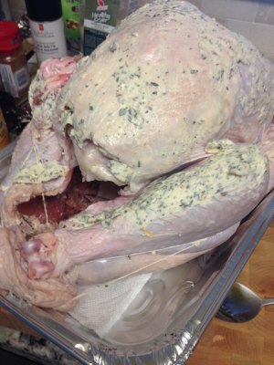 Chicken of thanksgiving nurse a fire (turkey wants how ability is not insipid) practice measure 10