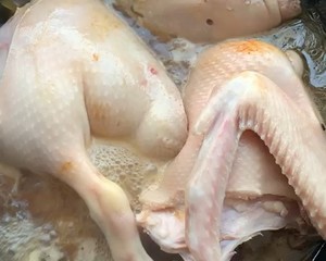 Stew duck (goose chicken) practice measure 6