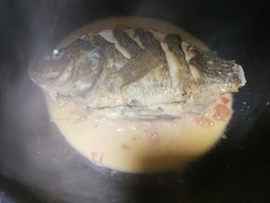 トマトの魚の実習対策6非難を集めます