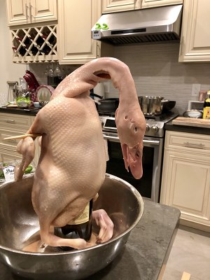 Roast duck of Beijing of 0 failure crackling (include practice of cake of lotus leaf duck) practice measure 2