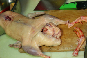 Piece such practice family nods the duck the practice measure of assist 1