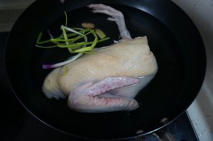 The practice measure of 3 cups of duck 2