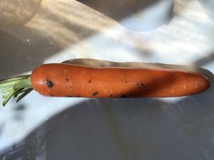 The practice measure of carrot stew duck 2