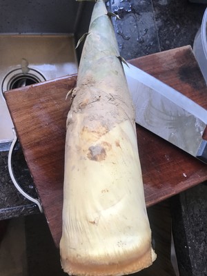 Soup of wet Shan Bao, the practice measure of soup of bamboo shoot duck 1