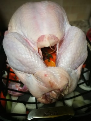 Chicken of christmas nurse a fire (turkey wants how ability is not insipid) practice measure 4