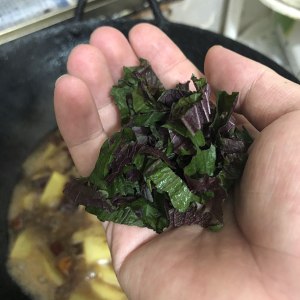 The practice measure of beer duck potato 12
