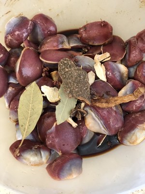 Exceed week of coot? ? The practice move that secret makes duck gizzard 5