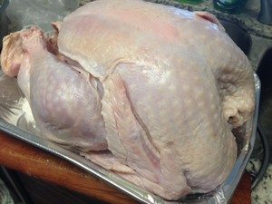 Chicken of thanksgiving nurse a fire (turkey wants how ability is not insipid) practice measure 1
