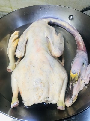 The practice measure of duck of beer sesame oil 1