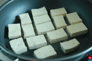 明るいエビトマト2の豆腐の実践測定