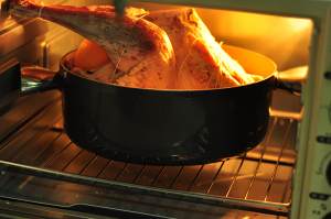 The practice measure of chicken of Christmas nurse a fire 9