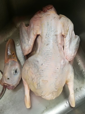 Soup of duck of wax gourd of the seed of Job's tears and the practice measure of the white flesh that cut duck 1