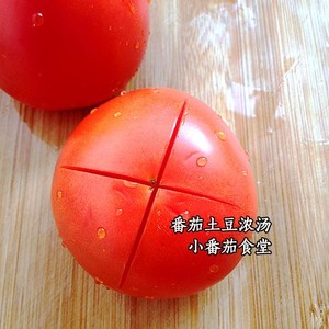 トマトポテトフーシュの実践尺度1