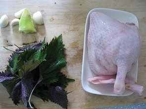 The practice measure of purple perilla duck 1