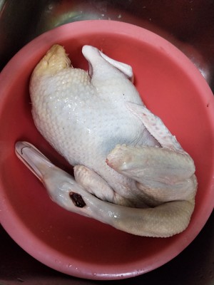 The practice measure of duck of nine woman    1