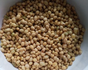 The practice measure that the duck heats soya bean 2