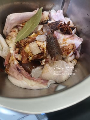 The practice measure of duck of ginger young stew 2