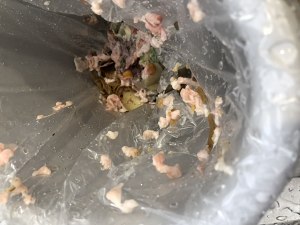 Exceed week of coot? ? The practice move that secret makes duck gizzard 3