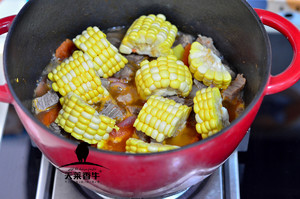 [confidential small hutch] we always come with cate him reward with food and drink, enjoy satisfied -- the practice measure that tomato stews organic beef 5
