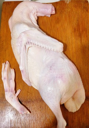The practice measure of duck of young ginger beer 1