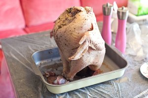 The practice measure of chicken of Christmas nurse a fire 6