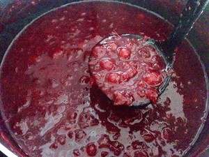 The tendril of whole fruit jumps over berry sauce (thanksgiving turkey matchs sauce & to spit department to wipe sauce general) practice measure 5